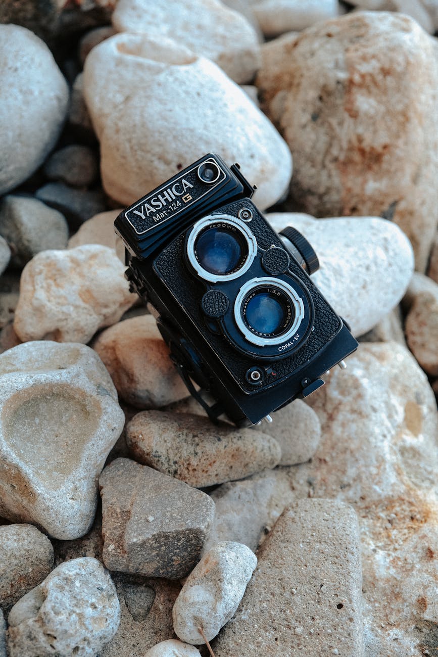 Best Vintage Point and Shoot Film Cameras 2025 - Dutch|Thrift
